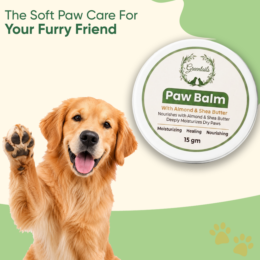 Greentails Paw Balm 15 Gm - Pack Of 3