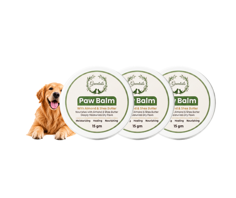 Greentails Paw Balm 15 Gm - Pack Of 3