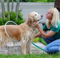 Pet Shower Sprayer 360 Degree Cat And Dog Grooming Kit