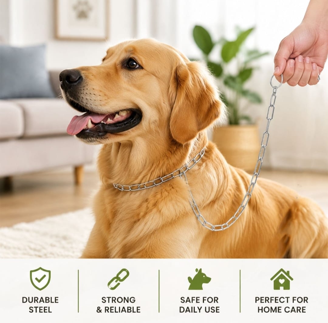 Heavy Duty Dog Chain Leash 67 Inch Stainless Steel