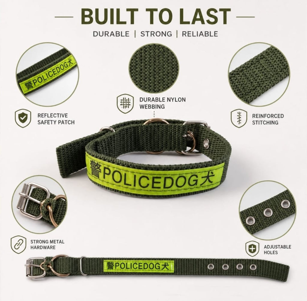 Nylon Dog Collar