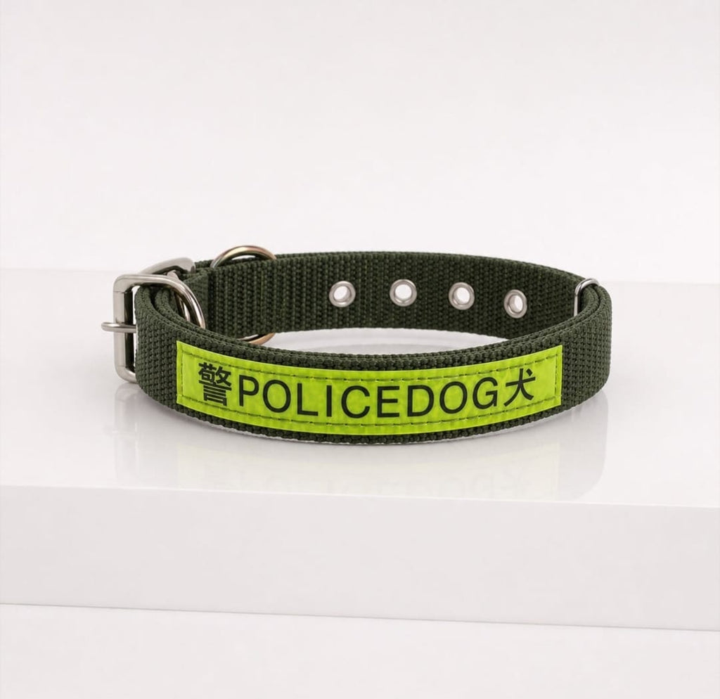 Nylon Dog Collar