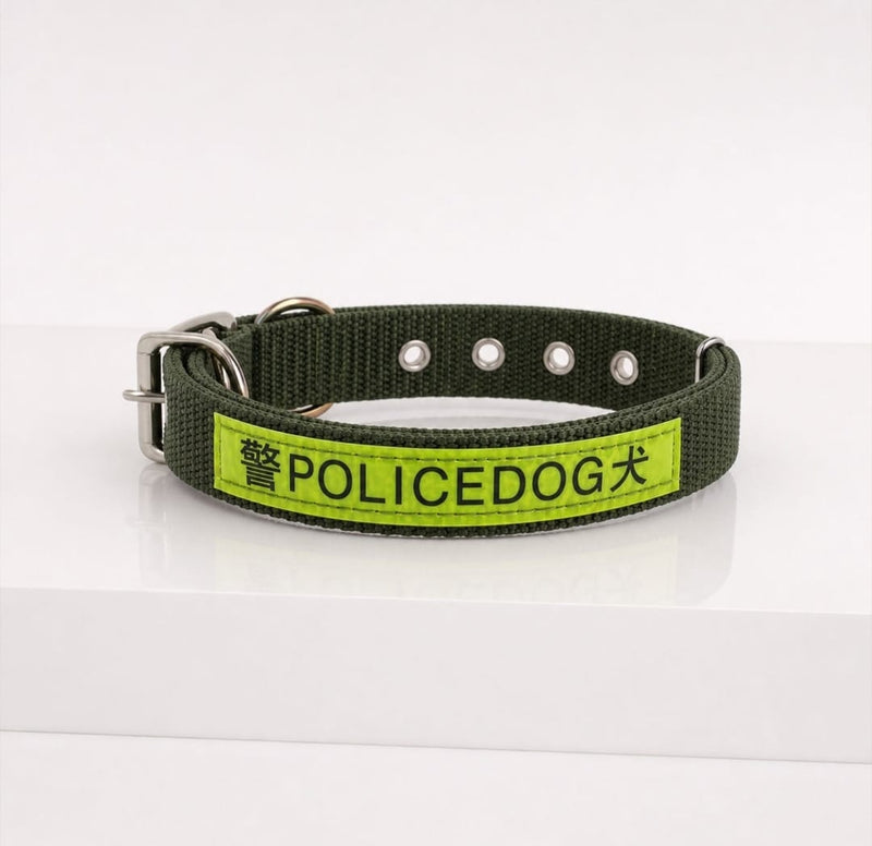 Nylon Dog Collar