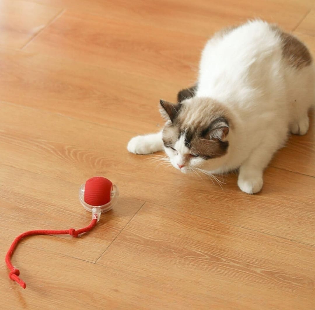 Interactive Cat Toy Ball With Led