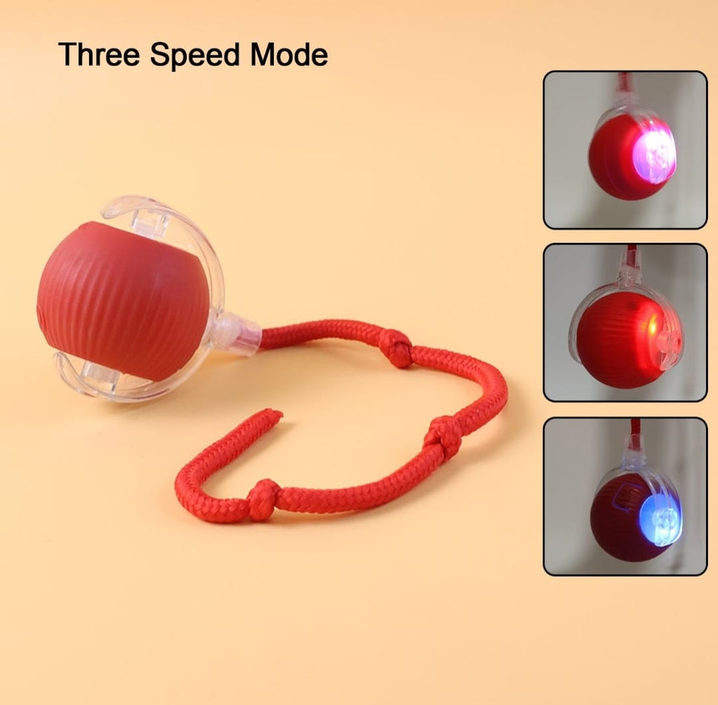 Interactive Cat Toy Ball With Led