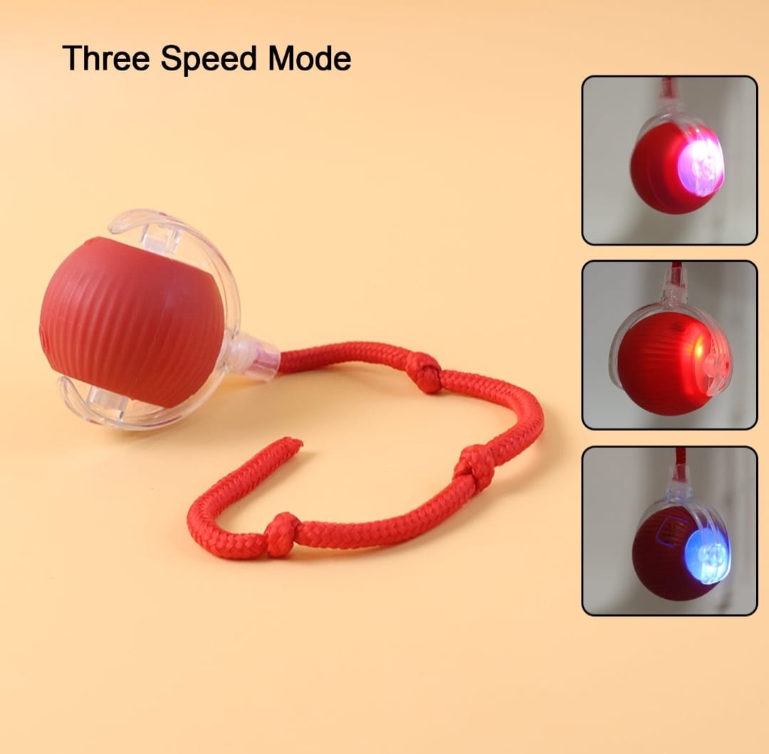 Interactive Cat Toy Ball With Led