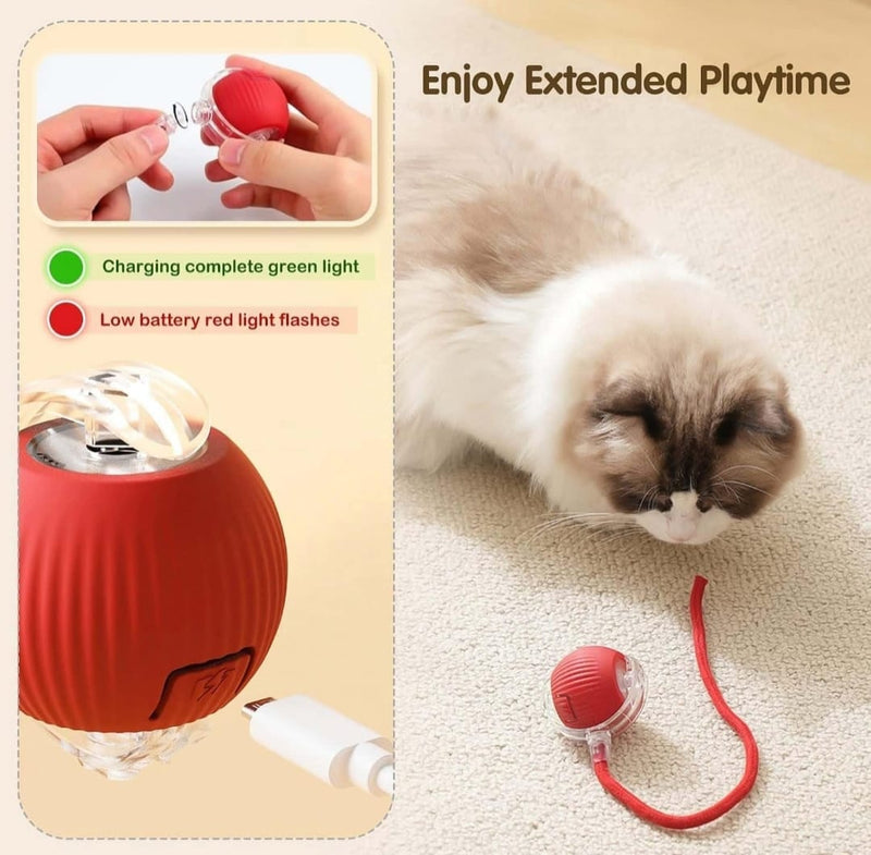 Interactive Cat Toy Ball With Led